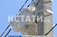 Хулиганский анти-радар — в Выксунском районе дорожные камеры пали жертвой вандалов