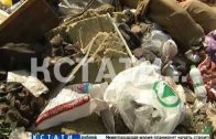 Жители Богородска при содействии коммунальщиков превратили город в мусорную столицу области