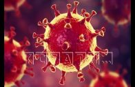 Второй заболевший коронавирусом выявлен в Нижнем Новгороде