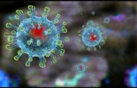 Число заболевших коронавирусом в Нижегородской области увеличилось до 25 человек
