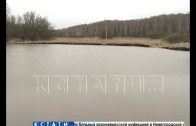 Вместо карстового провала в Арзамасском районе появилось озеро