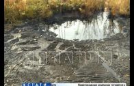 Мазутный детектив — новое нефтяное озеро разлилось в Кстовском районе