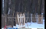 Деревья в парке «Швейцария» взяло под защиту «Всероссийское общество охраны природы»