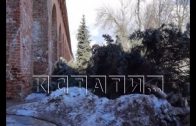 Старые деревья, в том числе и голубые ели, вырубили в Нижегородском кремле