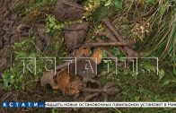 Человеческие останки обнаружены во время благоустройства набережной Федоровского