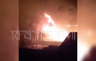 Дом зоозащитницы сгорел вместе с животными — в пожаре пострадавшая винит энергетиков