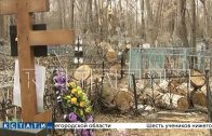 Погром на кладбище в Павлове