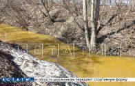 Речка Борзовка заполнилась желтой маслянистой жижей неизвестного происхождения