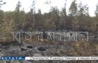 Первый крупный торфяной пожар разгорелся в Борском районе