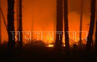 Чтобы остановить лесной пожар, сотрудники МЧС используют методы встречного пала