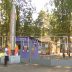 Из-за вспышки массового заболевания детей эвакуируют из лагеря «Восток» в Семеновском районе