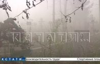 Федяковское кладбище затянуло дымом из-за пожара на нелегальной свалке