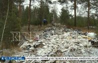 Леса в Балахнинском районе превращаются в огромную свалку с торчащими из мусора деревьями