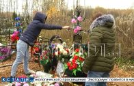 Убийство девушки в Богородске попытались выдать за смерть от сердечного приступа