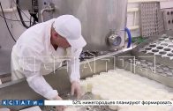 В Сормовском районе, после модернизации, на базе молочной кухни открыто производство сыров