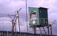 Трое заключенных сбежали из колонии в Краснобаковском районе