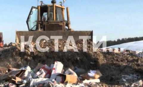 Показательную акцию уничтожения продуктов, одежды и украшений провели нижегородские полицейские