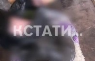 Сотрудники полиции провели рейд по рынкам Нижнего Новгорода