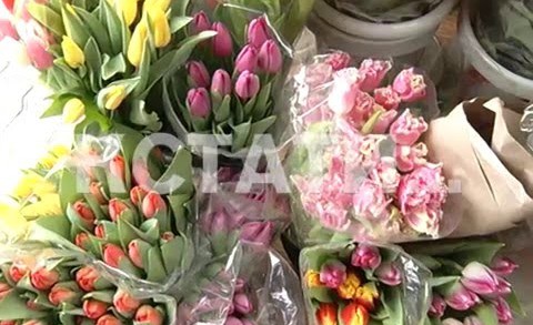 Цветочное разнообразие радует нижегородцев в преддверии 8 марта