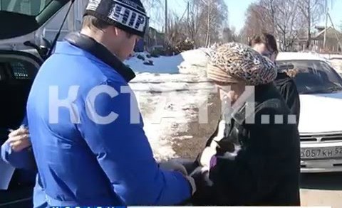 Осторожно! Карантин! Собаки разодрали больную бешенством лису в Автозаводском районе