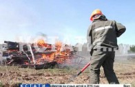 Сотруднки МЧС готовятся к отражению лесных пожаров