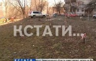 Водители-вредители появились в Нижегородском районе