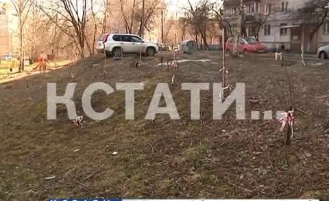 Водители-вредители появились в Нижегородском районе