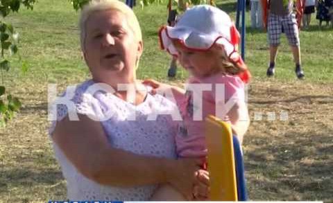 Сельскую инициативу по строительству детских и спорт-площадок подхватили в Нижнем Новгороде