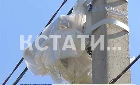 Хулиганский анти-радар — в Выксунском районе дорожные камеры пали жертвой вандалов