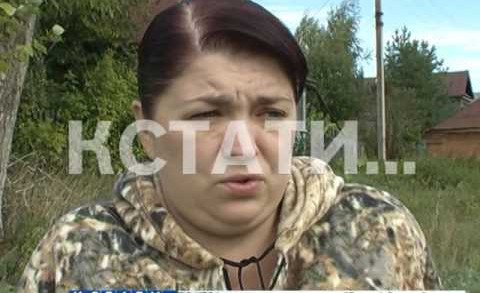 Коллекторы повесили собаку должника, чтобы заставить его выплатить долг.