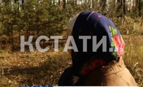 83-летняя жительница Тарасихи заблудившаяся в лесу, спасена после суток поисков