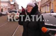Первый официальный пешеходный переход для ослов появился в Нижнем Новгороде