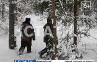 Нижегородская область вошла в число лидеров России по восстановлению леса