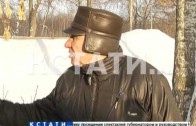 Замерзающие кони обнаружены на окраине Автозаводского района