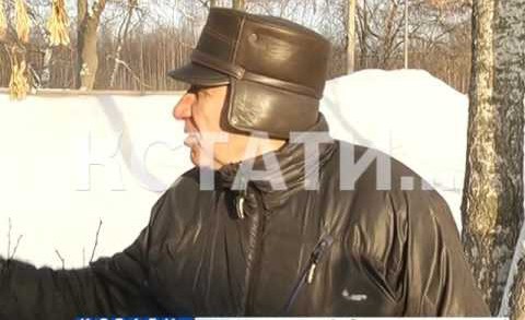 Замерзающие кони обнаружены на окраине Автозаводского района