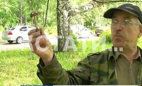 Вместо плодово-ягодного грибной сезон в самом разгаре в Нижегородской области