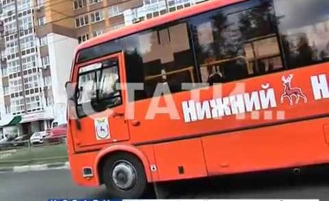 Транспорт в законе — в нижегородской маршрутке появился «авторитетный» пассажир
