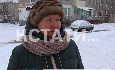Зимняя забава закончилась смертью в Балахнинском районе