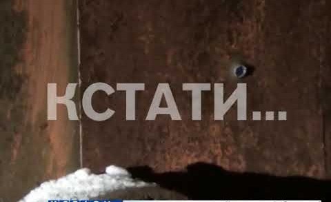 Боевик, готовивший теракт со взрывчаткой, ликвидирован в Нижнем Новгороде