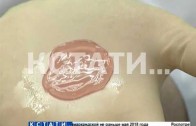Искусственная кожа вместо марлевых повязок — новая разработка нижегородские ученых