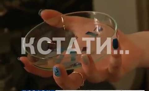 Нижегородские ученые смогли разогнать компьютер до скорости света