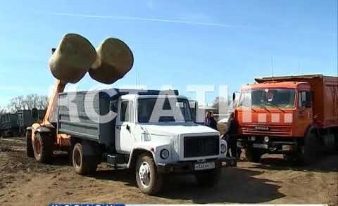 Не менее одного миллиона тонн зерна планируется собрать в этом году в Нижегородской области