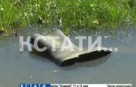 Фекальный затон — сады в Кстовском районе затопило канализационными водами