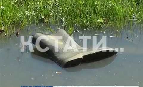 Фекальный затон — сады в Кстовском районе затопило канализационными водами