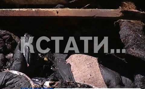 Новая атака сормовского пиромана