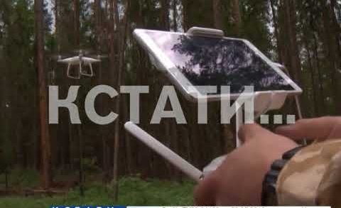 Радиоуправляемые дроны вышли на охрану нижегородских лесов