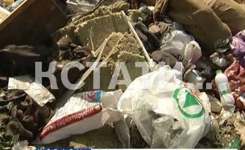 Жители Богородска при содействии коммунальщиков превратили город в мусорную столицу области
