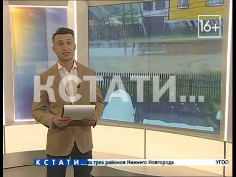 Кстати нн. Кстати сети НН. Ведущие кстати Нижний Новгород. Ведущий кстати. Ведущий кстати Нижний Новгород.