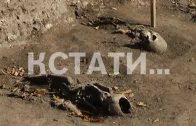 В Нижегородском кремле обнаружено захоронение 14 века
