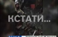Ми-ми-мишная операция нижегородских пожарных — они спасли от огня щенячий выводок